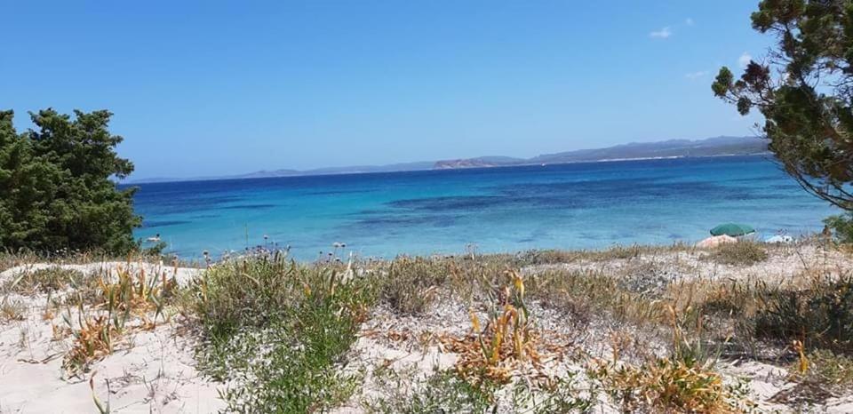 Appartamenti Mirice Beach Resort - Mare & Pace Li Valcaggi المظهر الخارجي الصورة