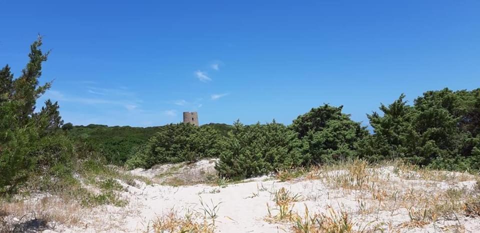 Appartamenti Mirice Beach Resort - Mare & Pace Li Valcaggi المظهر الخارجي الصورة